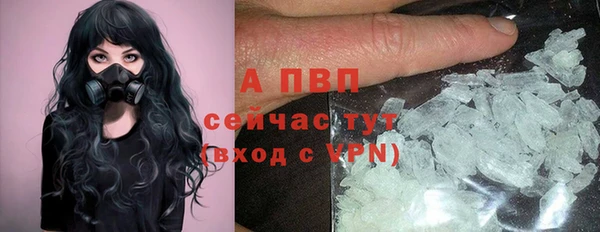спиды Мегион