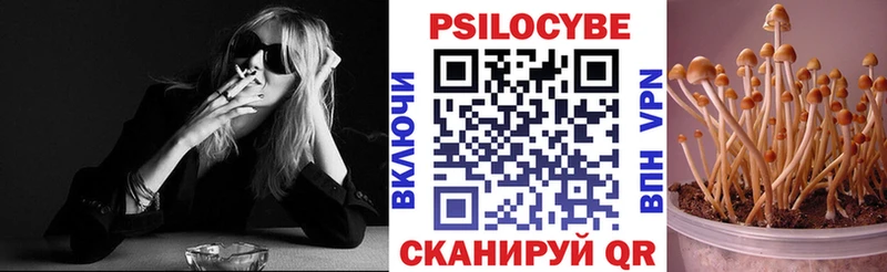 Псилоцибиновые грибы Cubensis  ОМГ ОМГ рабочий сайт  Махачкала 