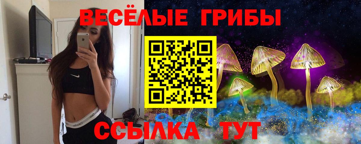 Махачкала  Галлюциногенные грибы Cubensis  Вход с VPN 